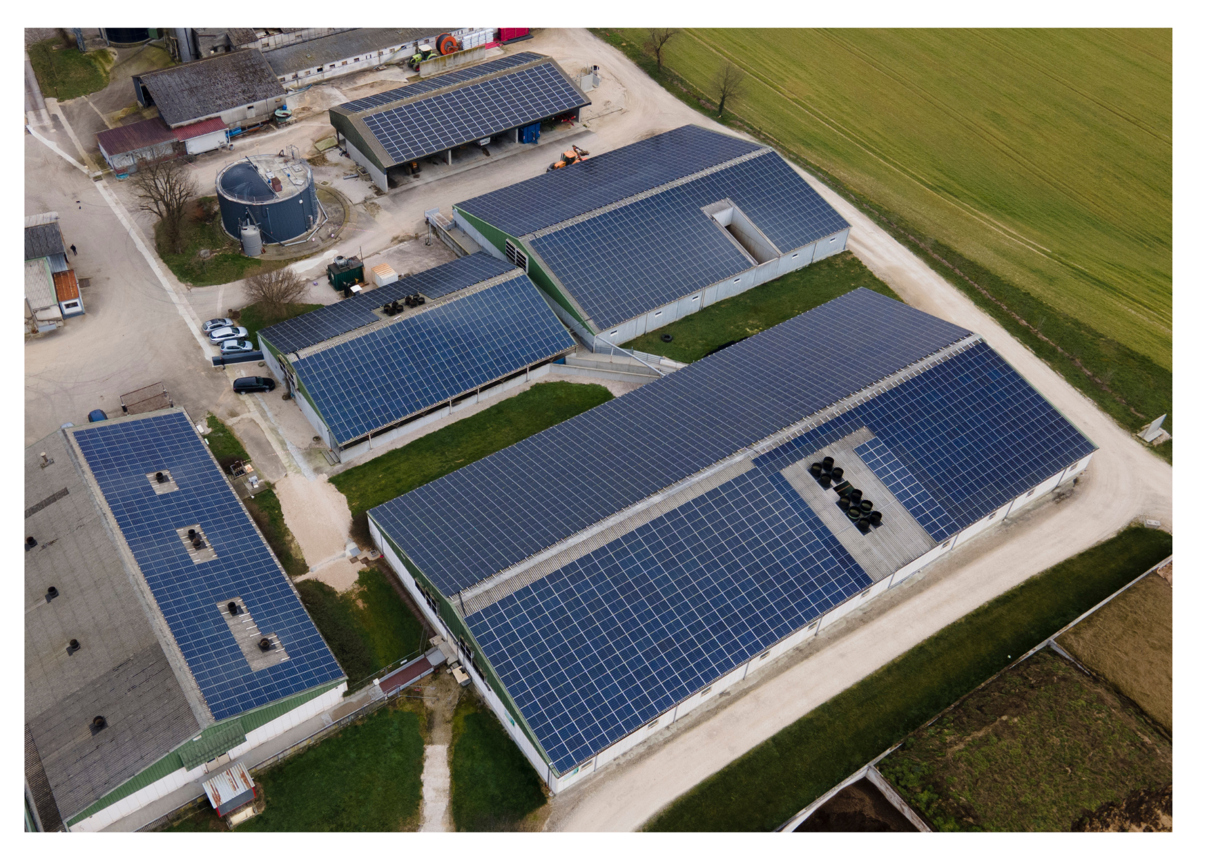 Domsur - Interview image